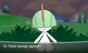 Tarsal sauvage Pokémon X & Y
